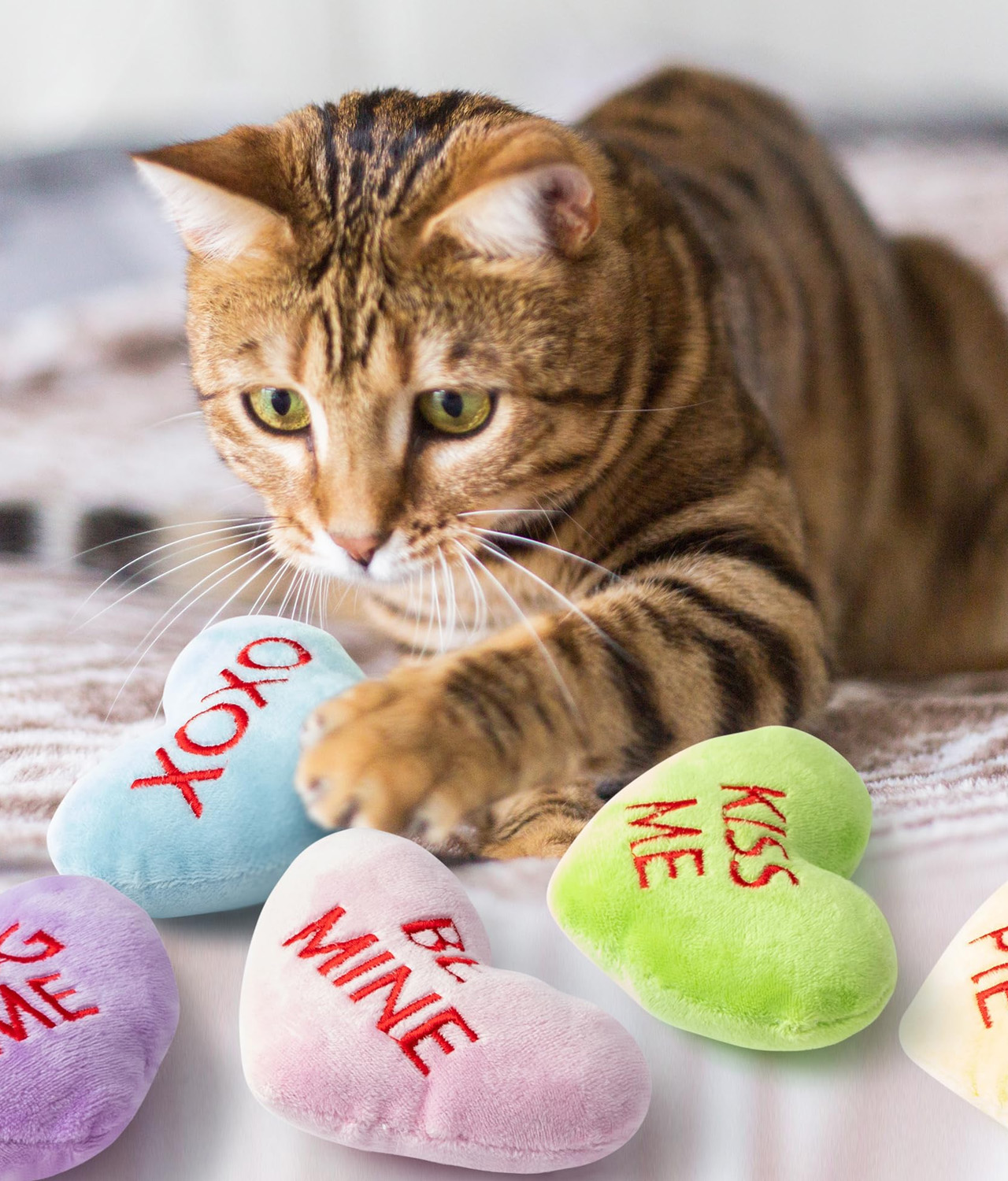 Candymint Plush Toys