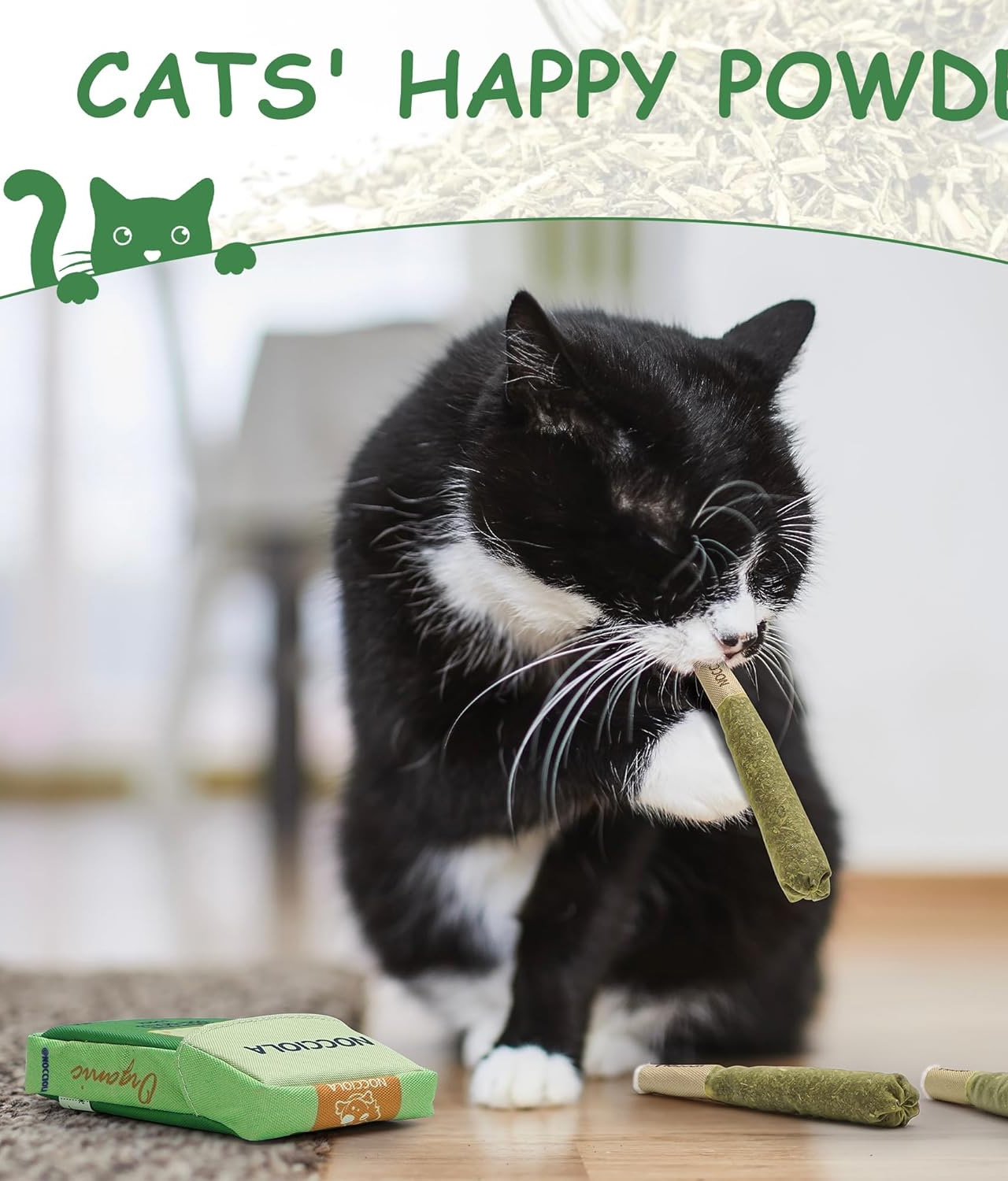 Catnip Chew and Kicker Toys