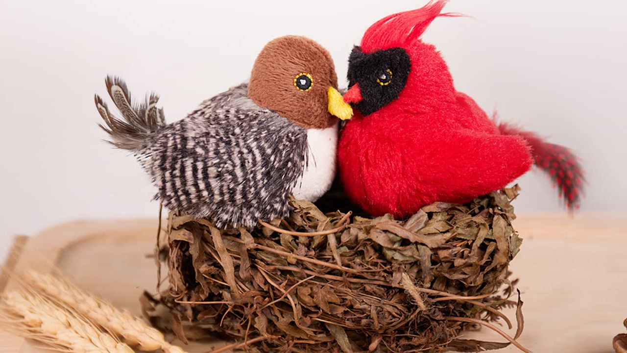Chirping Bird Toys