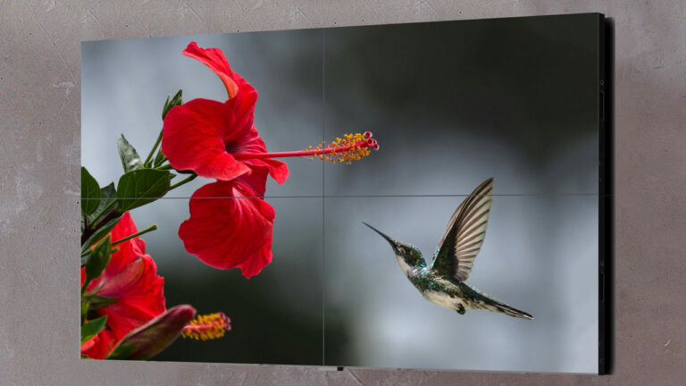 Displace Gives 4K OLED Wireless TVs a Wall-Size Treatment at CES 2026 Displace Wall