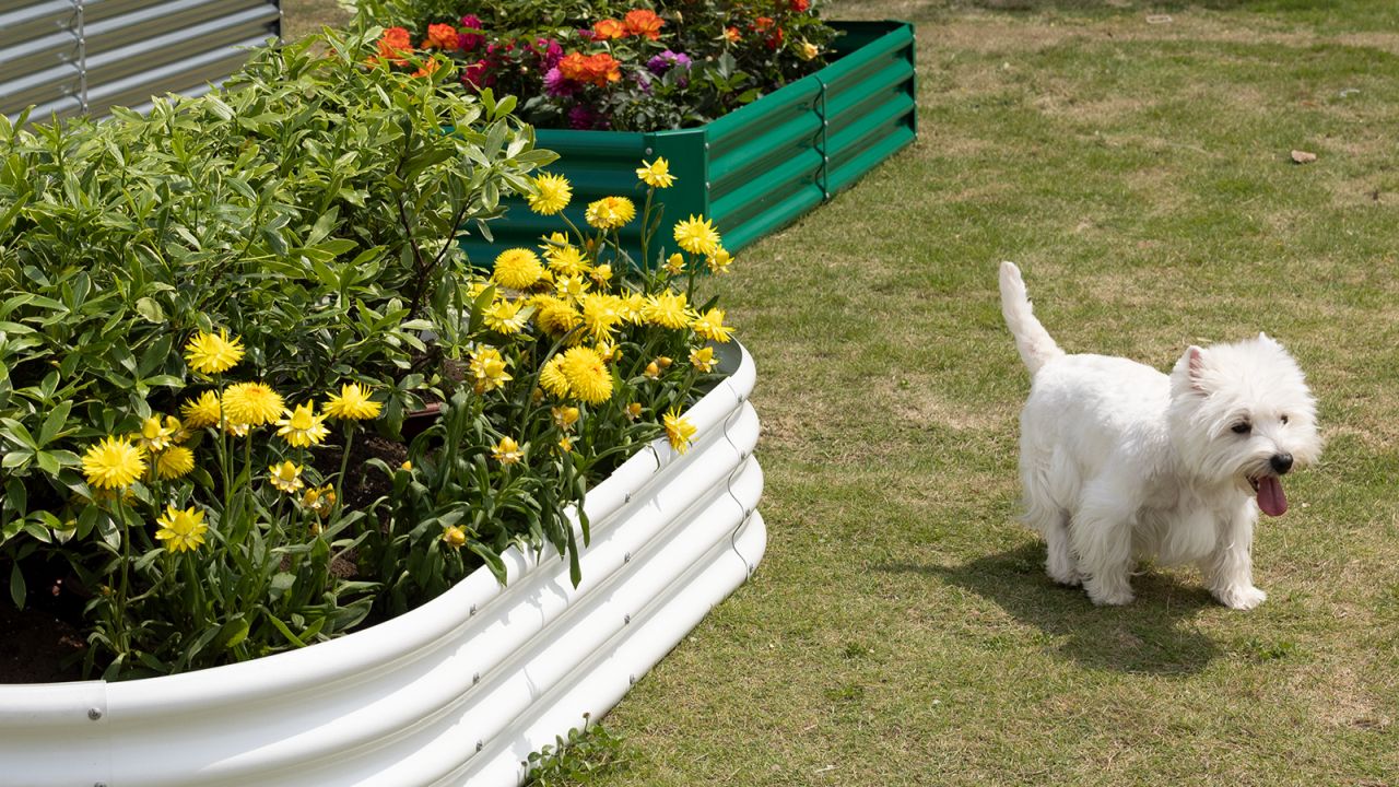 LandGaurd Garden Bed Series