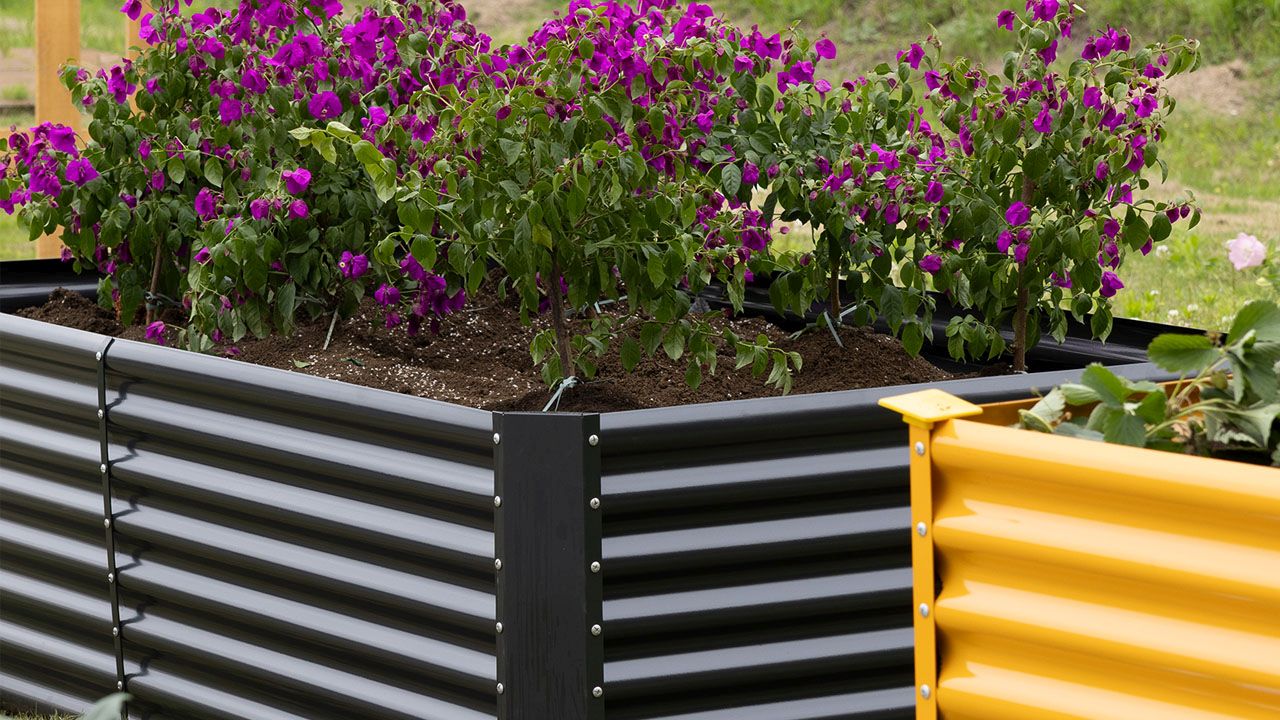 LandGuard Garden Galvanized Raised Beds - 2