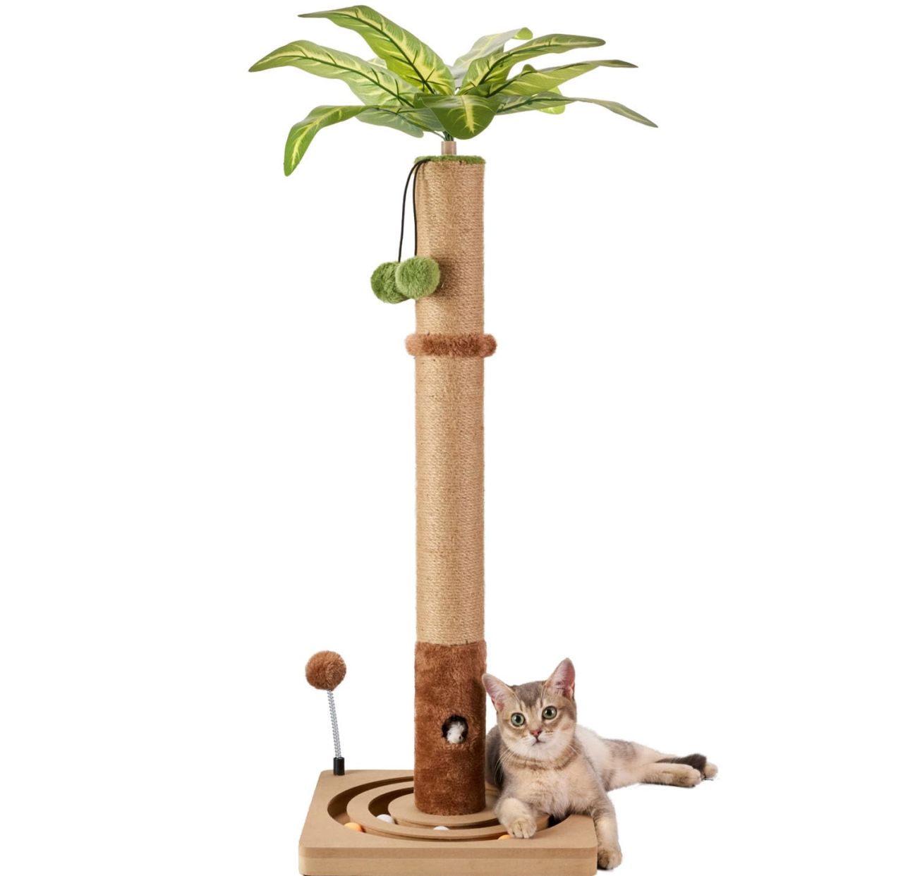 MECOOL Cat Scratching Post