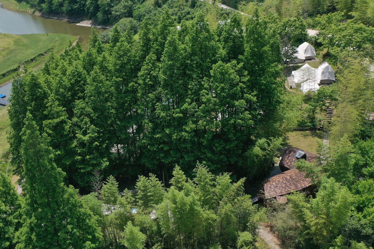 Meow House by JumpingHouseLab in China Blends Into Landscape and Frames Outside Views