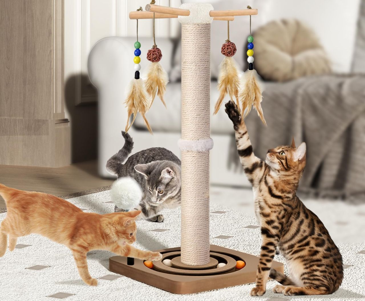 PAROTO Store Cat Scratching Post
