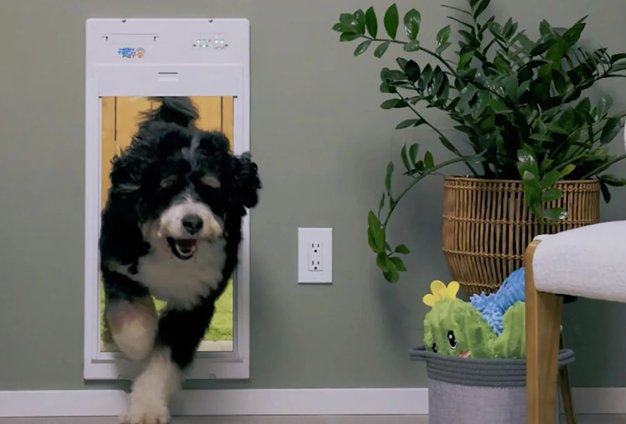 POWER PET ROLL UP Door by High Tech Pet