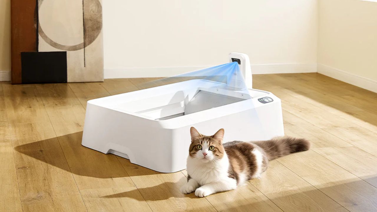Petkit robotic pet care litter box with ai camera