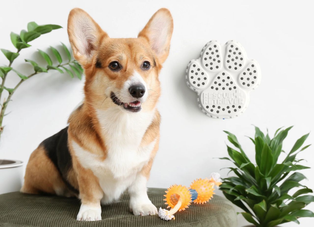 Rescue Retriever Smoke Detector for Pets