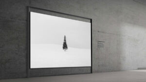 Samsung 130 inch Micro RGB TV