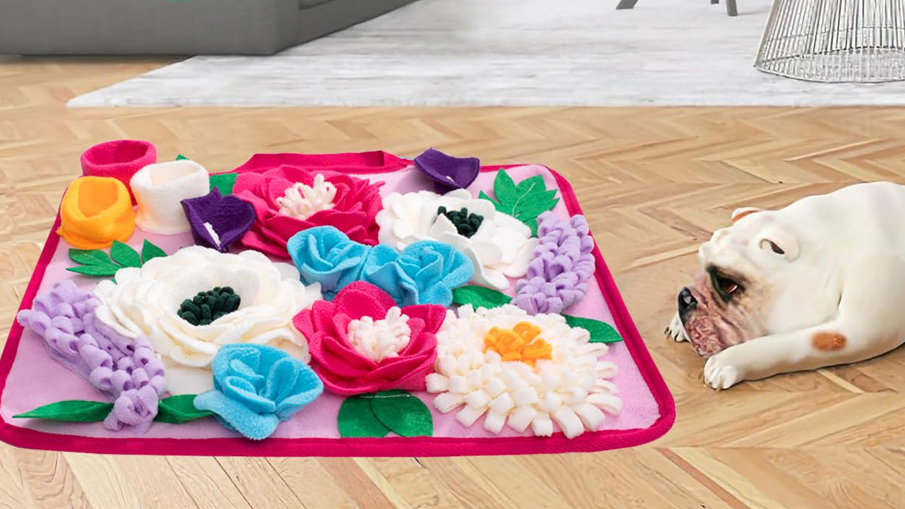 Slow Feeder Mats for Dogs