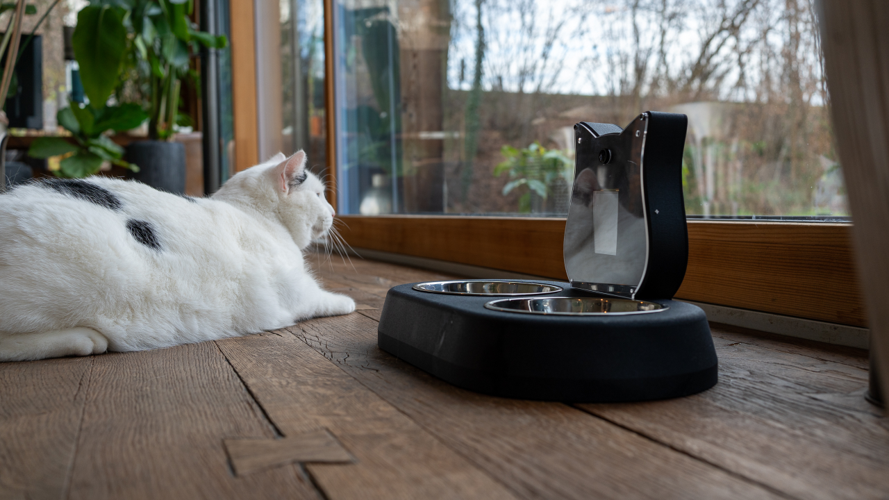Smart AI-Powered Cat Feeding and Drinking Station_1