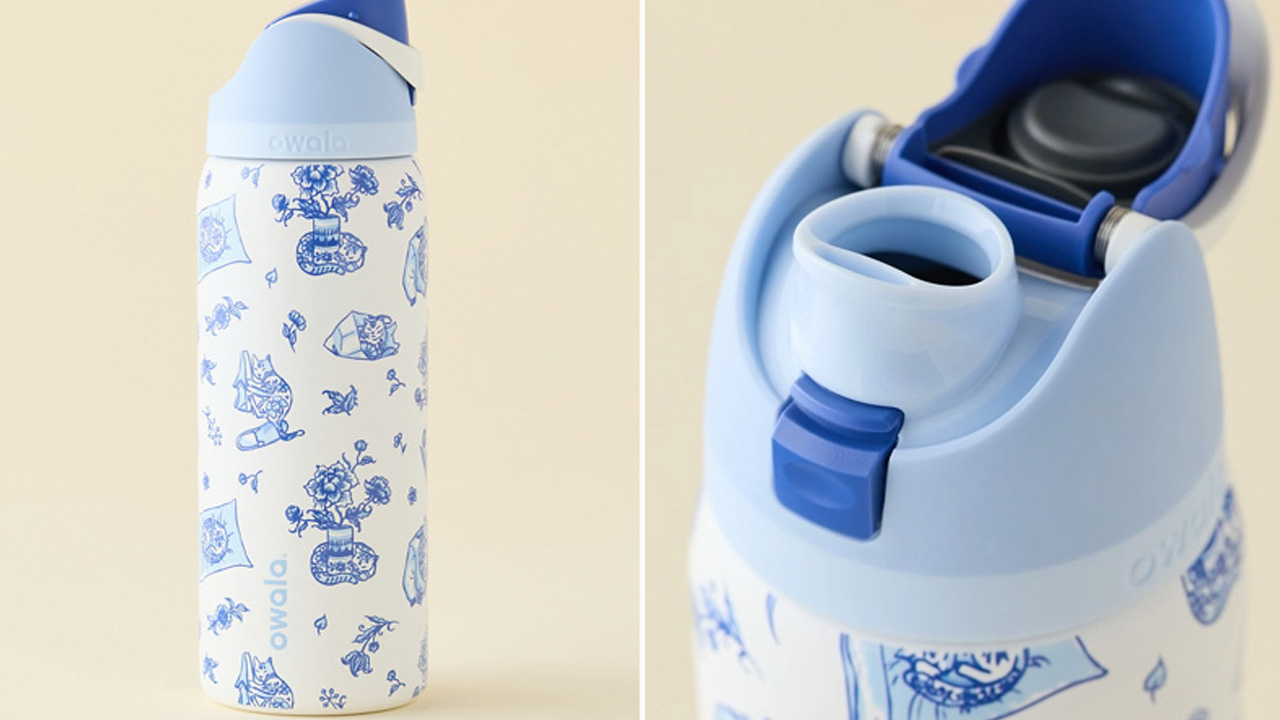 Urban Outfitters x Owala Delft Cat Print Water Bottle