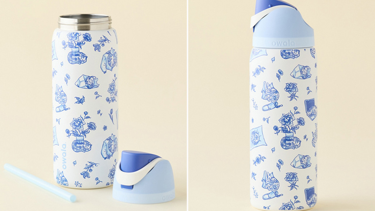 Urban Outfitters x Owala Delft Cat Print Water Bottle_1