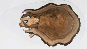 Heron Design’s Beetle Coffee Table Blends Nature and Furniture at Maison&Objet bettle-coffee-table-by-Heron Design