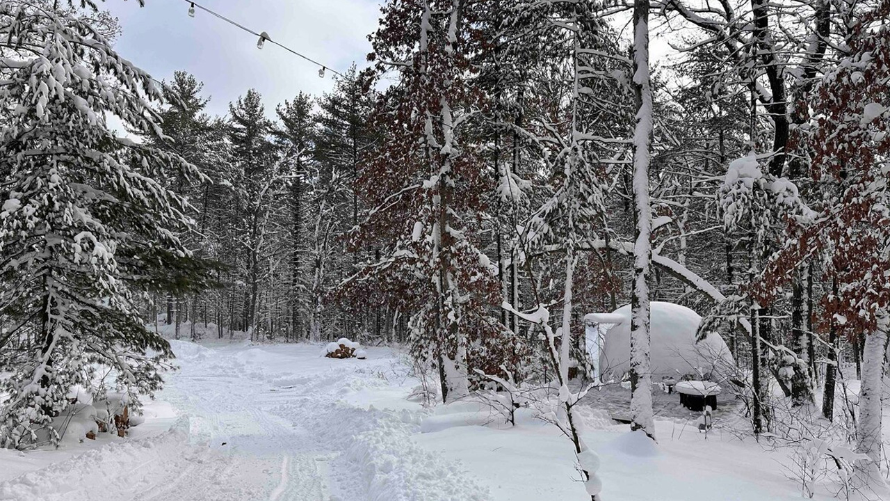 Dells Dome Woodland Haven Dome-3