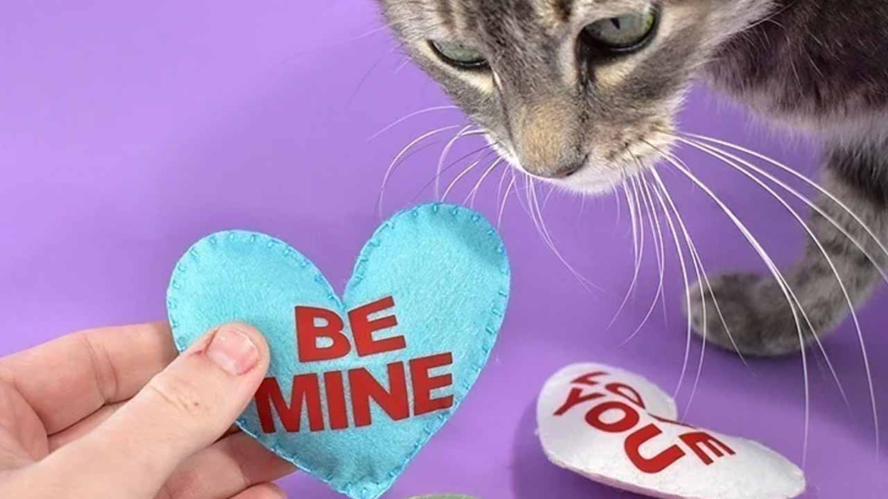 Valentine's Day Crafts