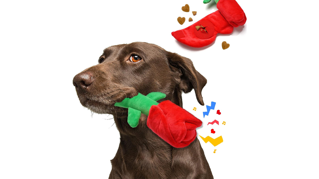 Rose Puzzle Dog Toy