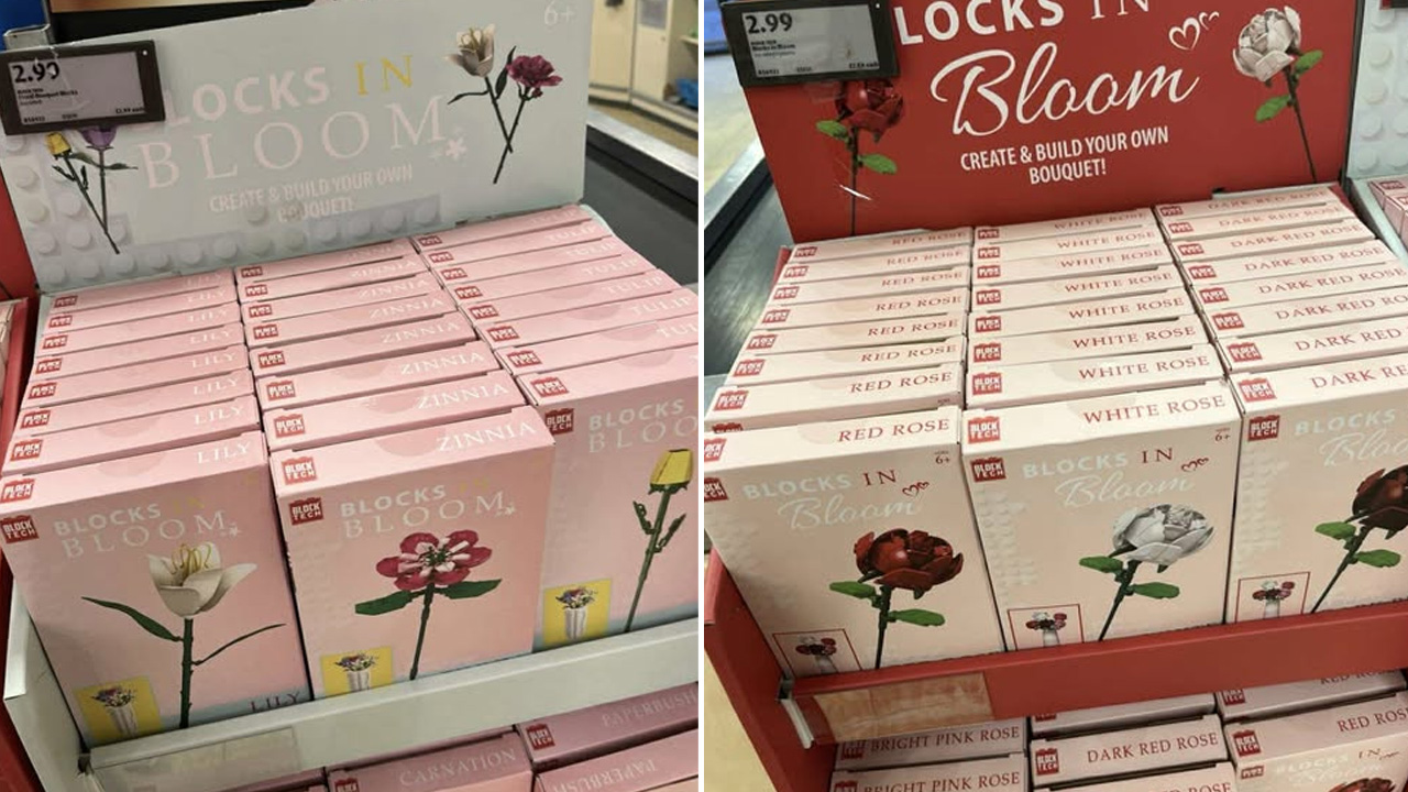 Aldi launches buildable flowers for Valentine's Day