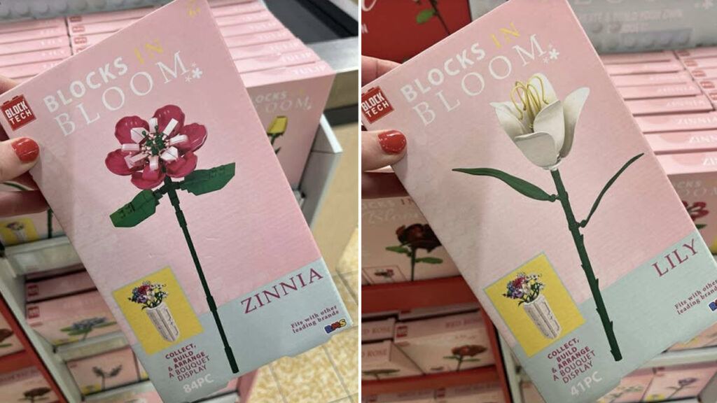 Aldi launches buildable flowers for Valentine's Day