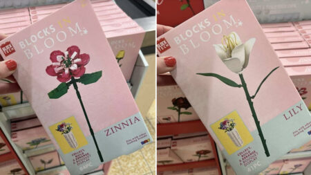 Aldi launches buildable flowers for Valentine's Day