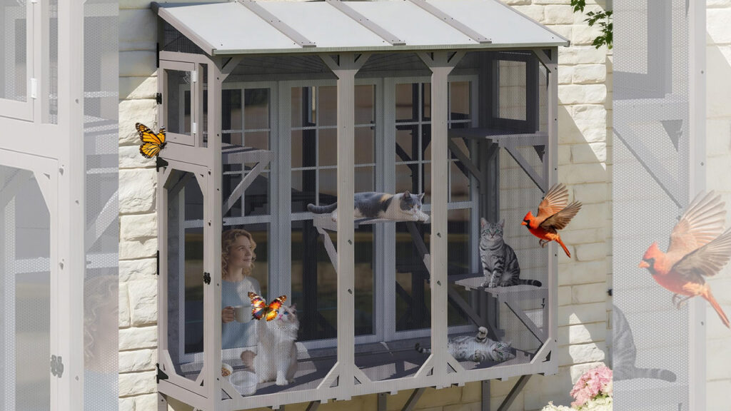 Get 58% off on This PetsCosset Cat Window Box on Amazon