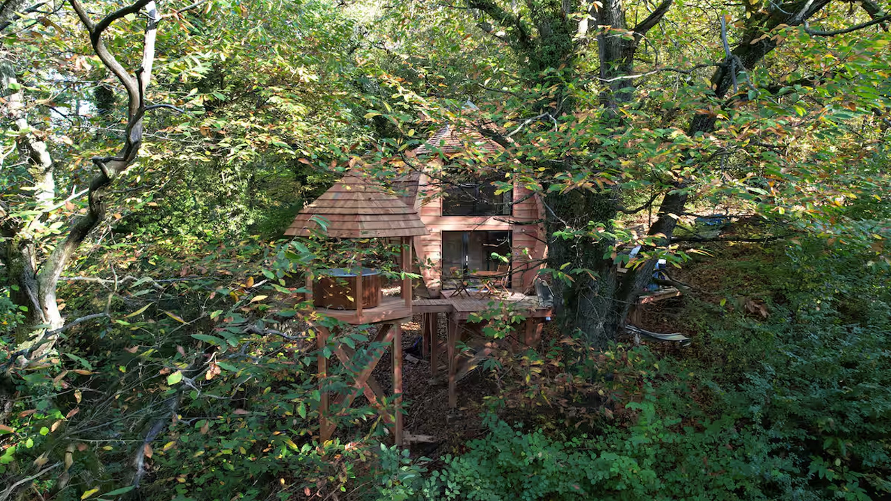 The Hot Tub looks like a secret hideout nestled deep within the forest