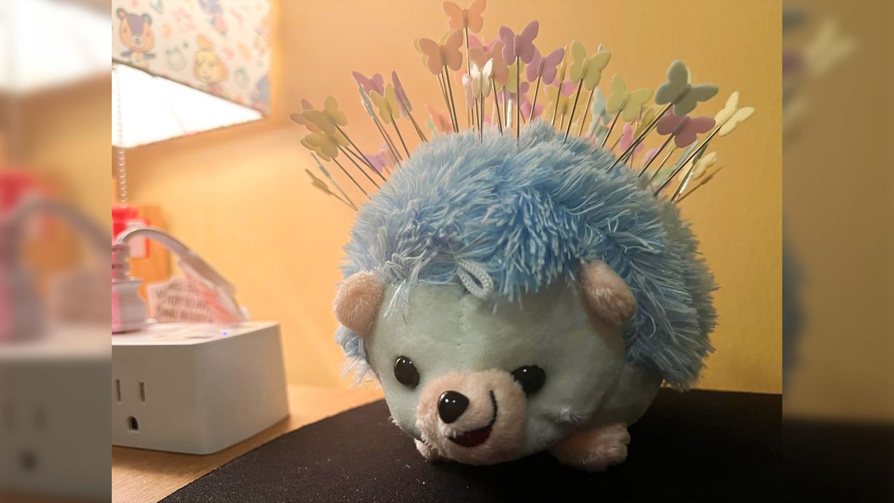 Grandma Hobby Gifts for Valentines Day - Hedgehog Pin Cushion With 100 Pins