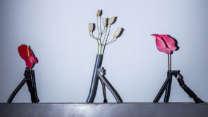 Industrial Designer Mal Yu Turns Bicycle Into Flower Vases