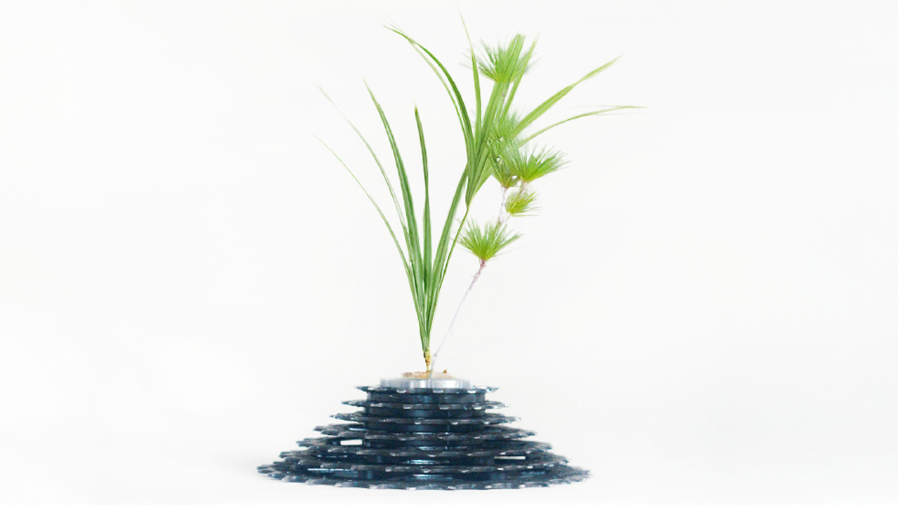 Industrial Designer Mal Yu Turns Bicycle Into Flower Vases