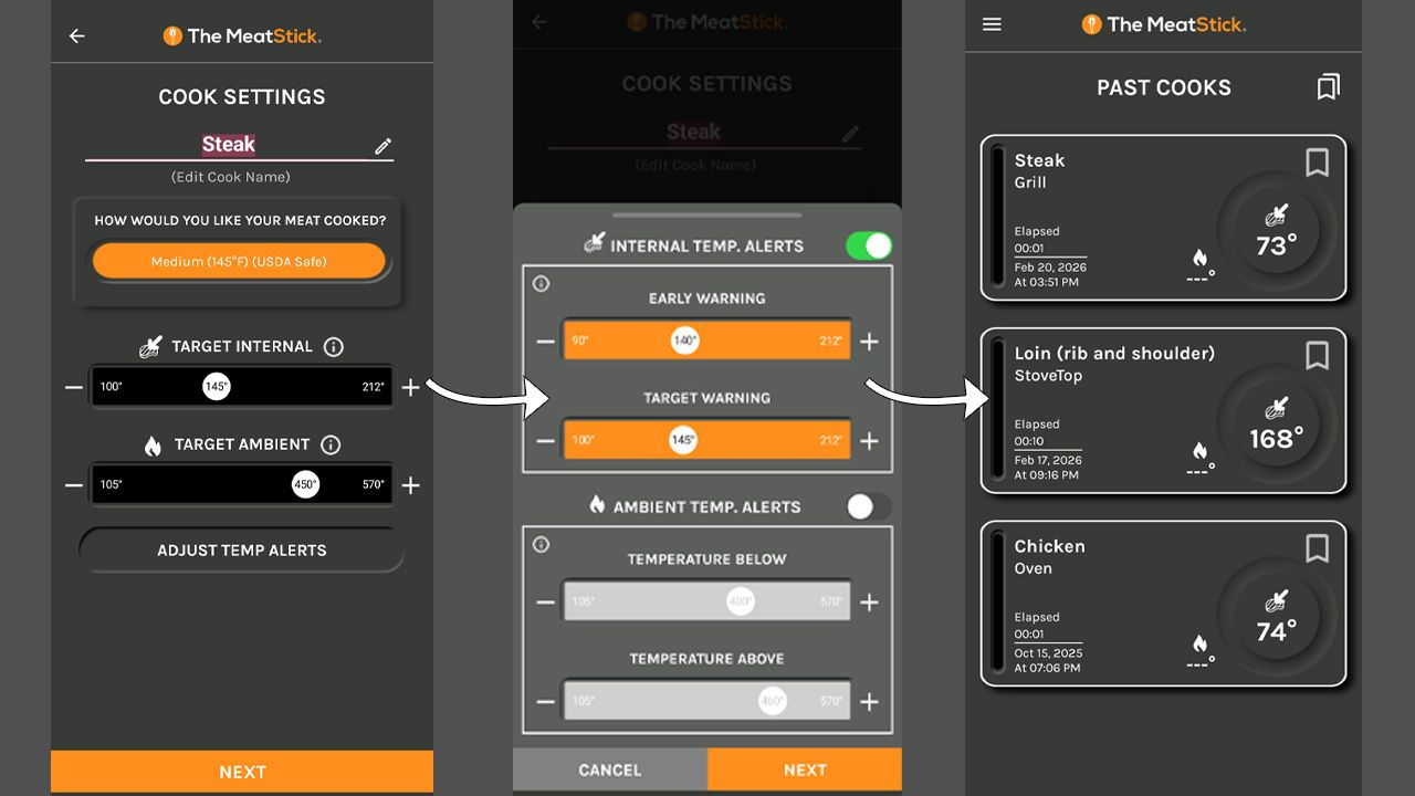 MeatStick V Review - Setup