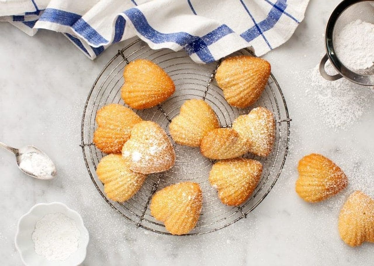 Meyer Lemon Madeleines