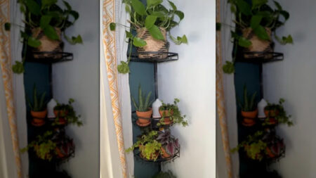 How to Turn Your Bathroom Caddy Into Cozy Plant Stand Plant Stand