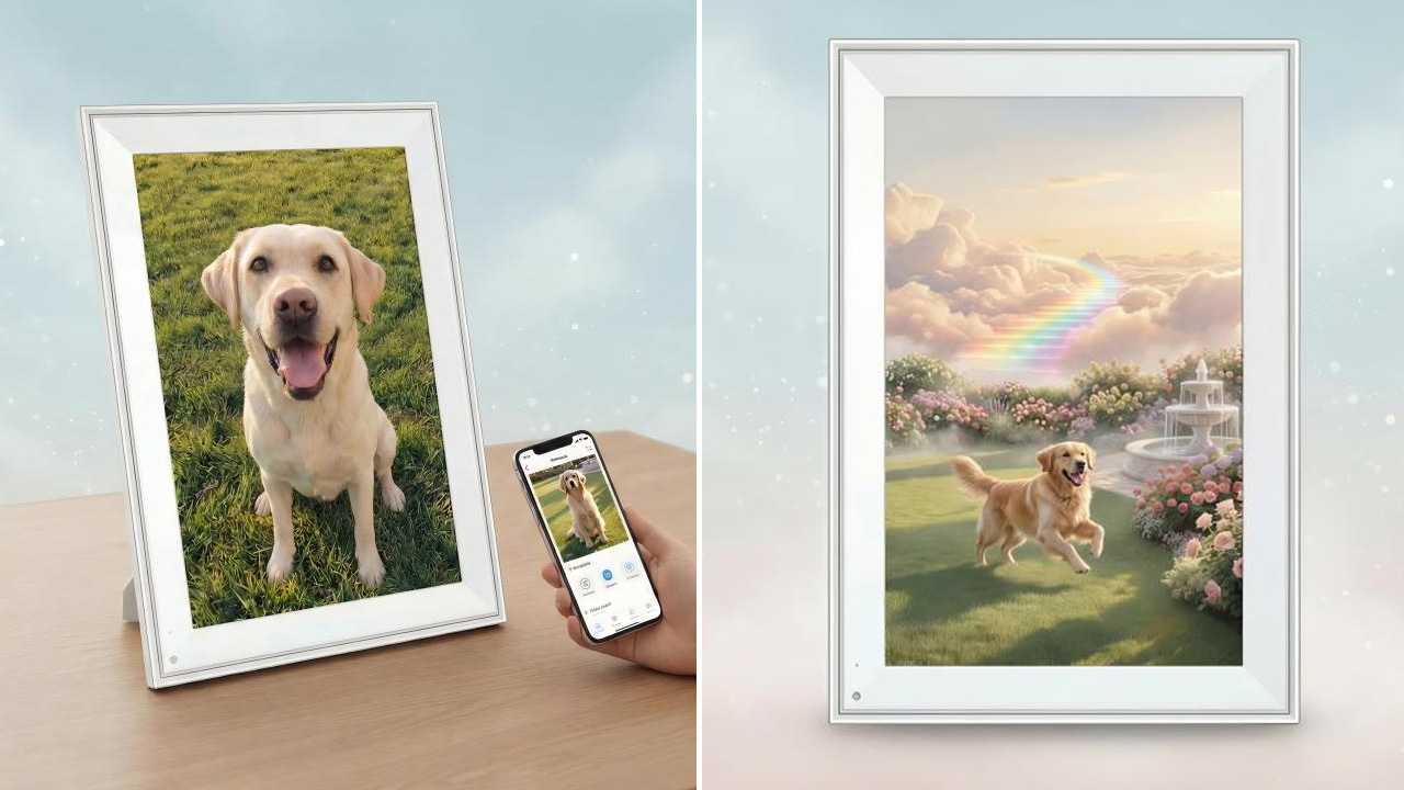PetLive’s AI-Powered Magic Frame can Bring Your Pet to Life Digitally