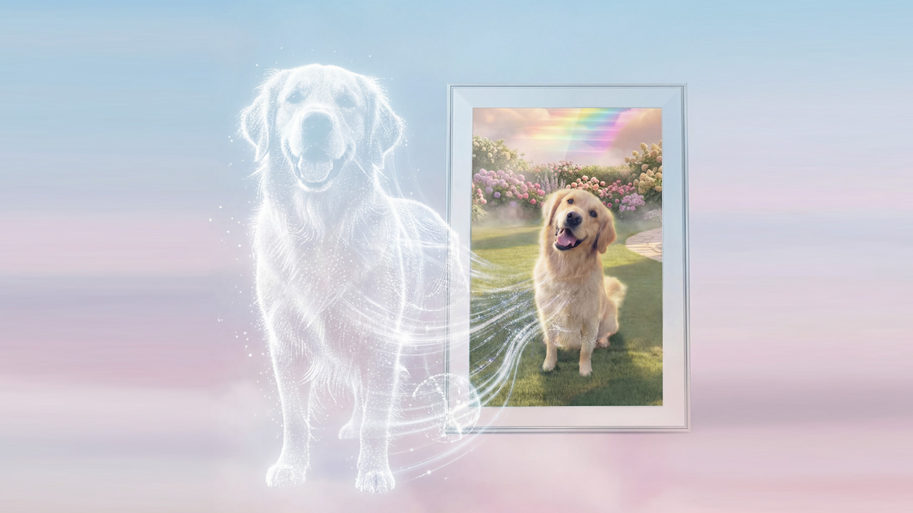 PetLive’s AI-Powered Magic Frame can Bring Your Pet to Life Digitally