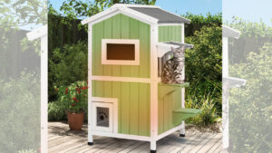 Deal of the Day: Grab Two-Story Weatherproof Outdoor Cat House at 16% off on Amazon PetsCosset Weatherproof Outdoor Cat Shelter is 16% off on Amazon