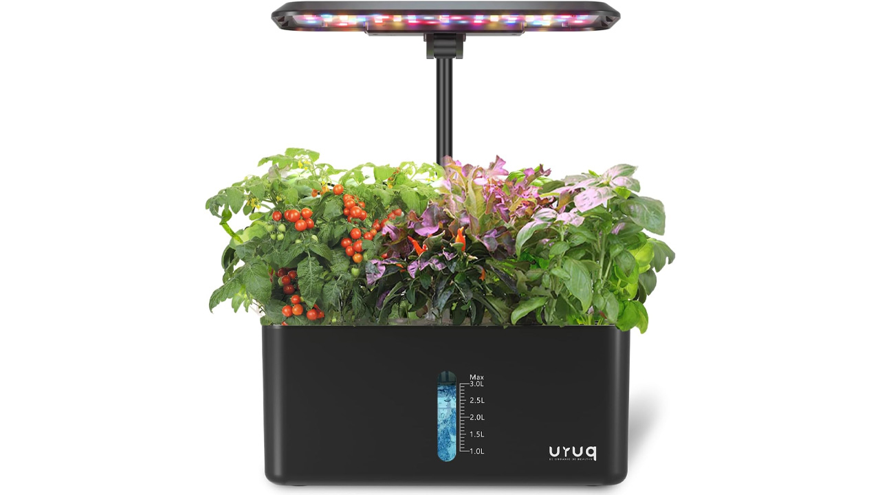 Presidents' Day Outdoor Accessories deals