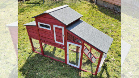 Two-Story PetsCosset Chicken Coop for Backyard is Selling Like Hot Cakes This PetsCosset Chicken Coop for Backyard is Effective Against Predators