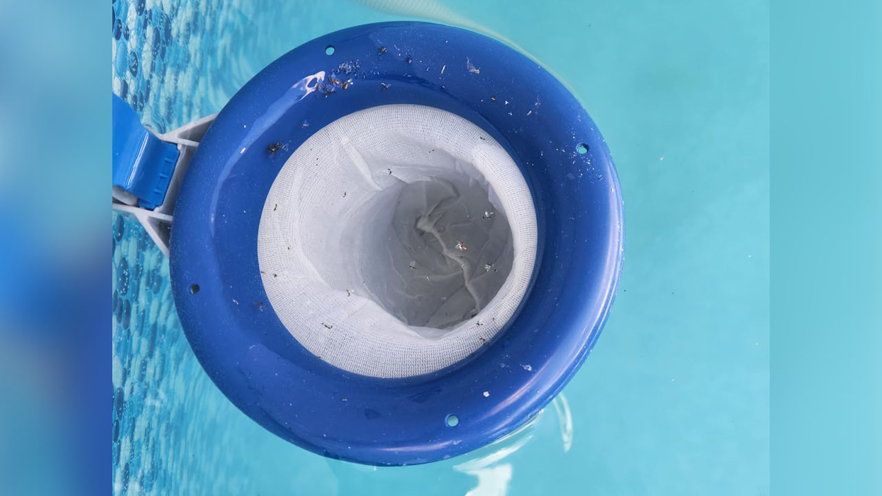 30 Pack Pool Skimmer Socks