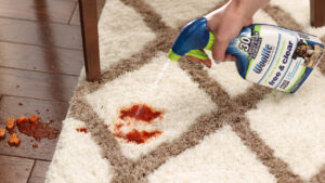 Best Upholstery Cleaning Solutions to Keep Your Home Spotless and Fresh