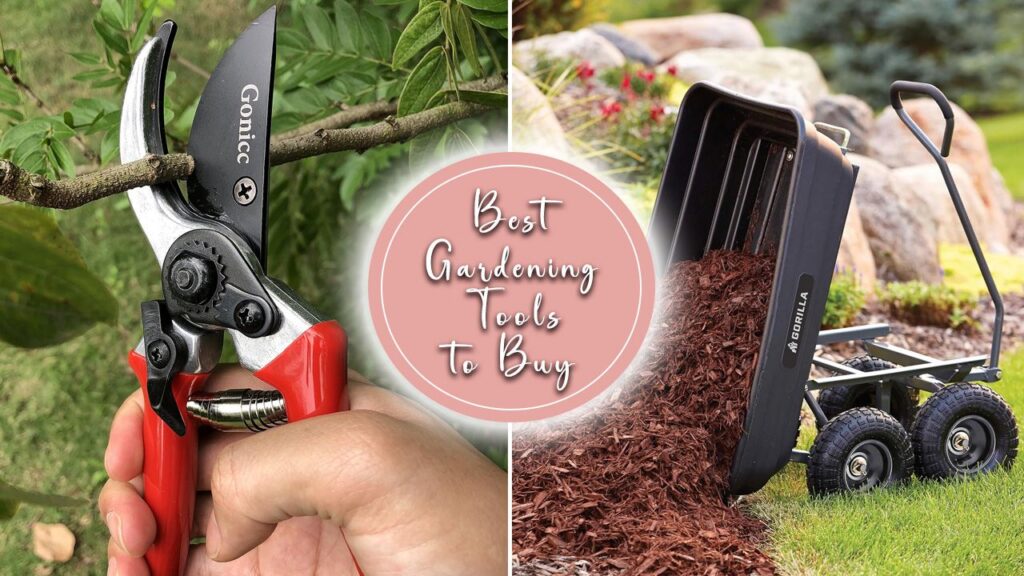 Best gardening equipments to buy