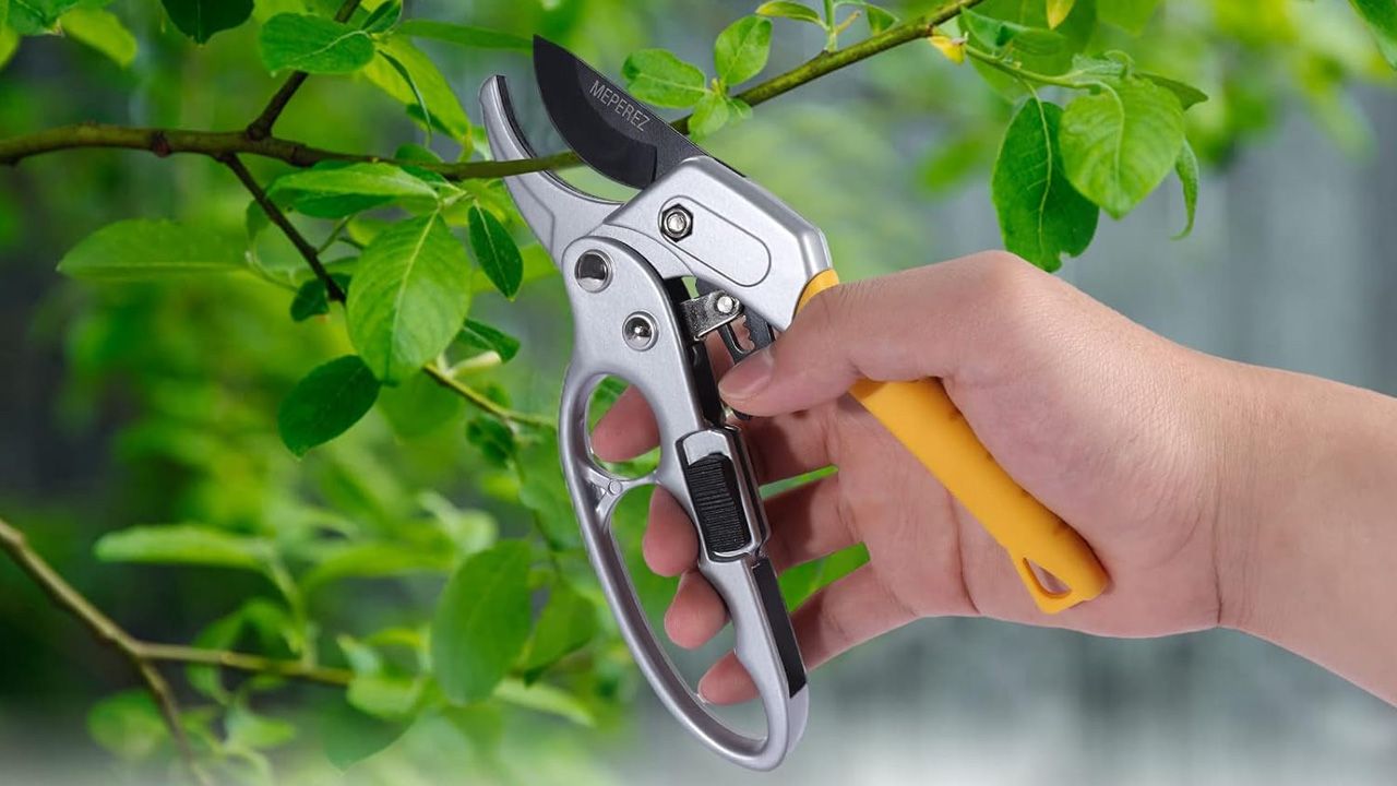 Best gardening equipments to buy - Germany Pruning Shears