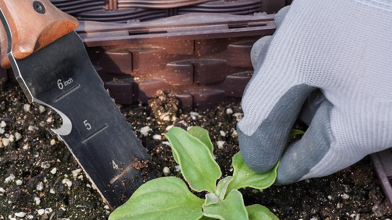 Best gardening equipments to buy - Hori Hori Garden Knife