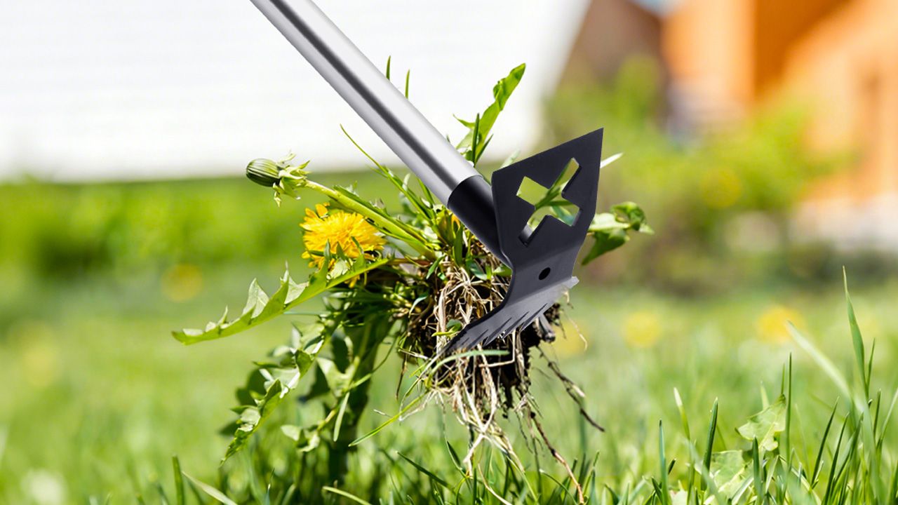 Best gardening equipments to buy - Long Handle Weed Puller