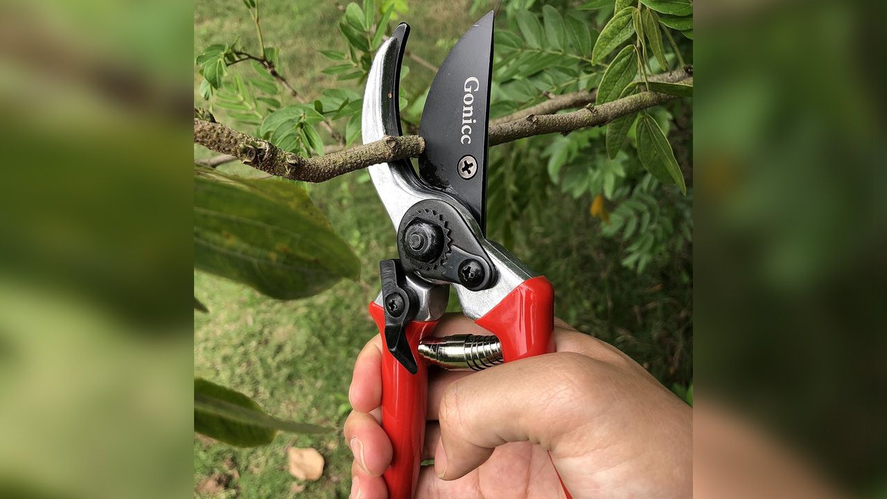Best gardening equipments to buy - gonicc 8-inch Professional Sharp Bypass Pruning Shears