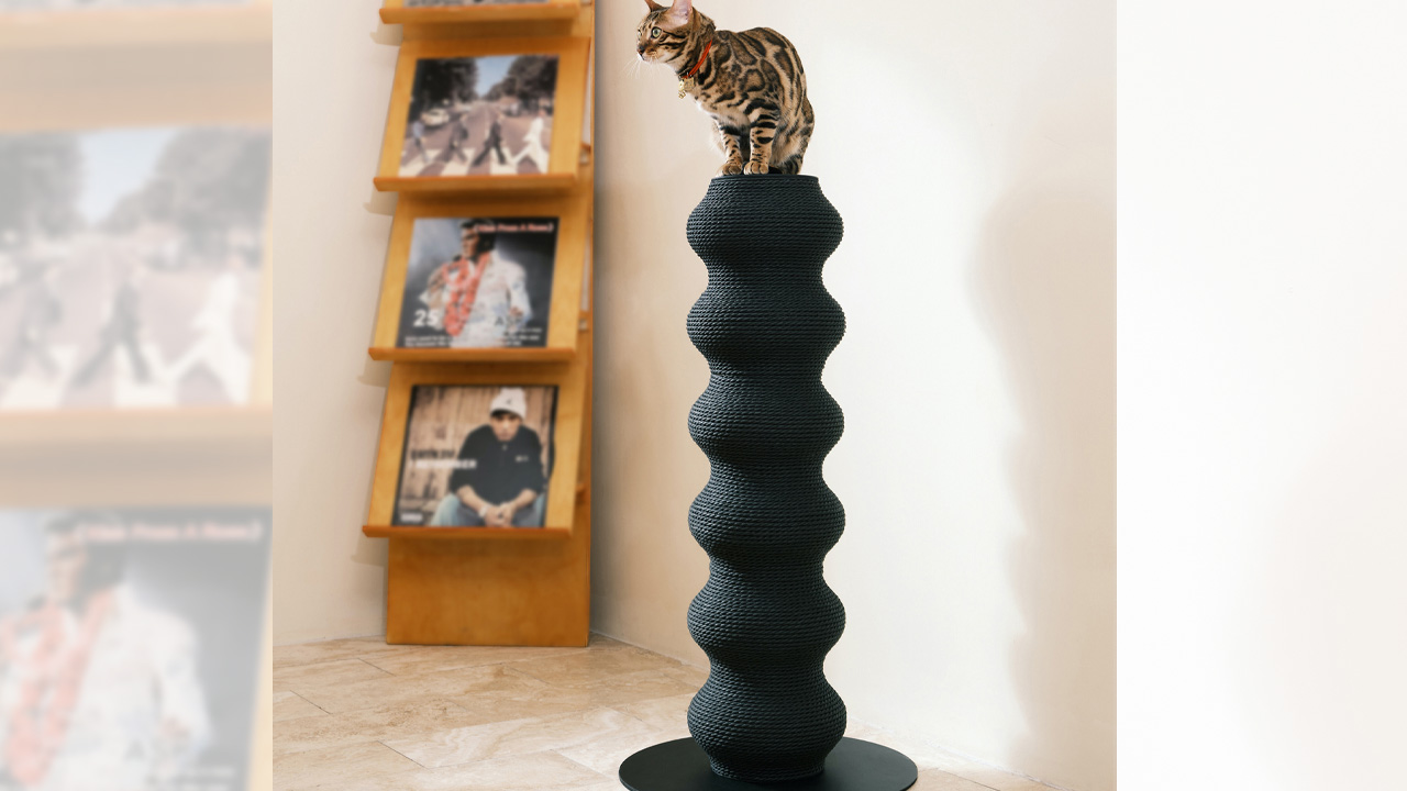 Coral Cat Scratching Post_2