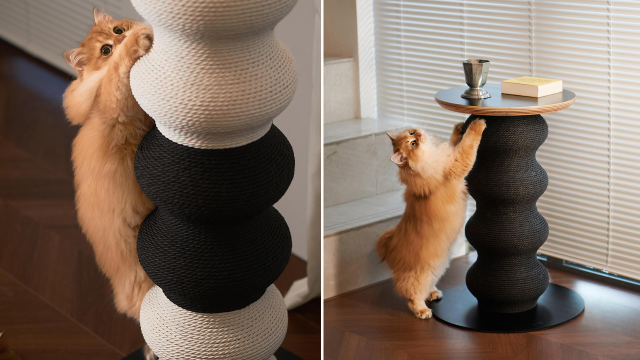 Coral Cat Scratching Post_3