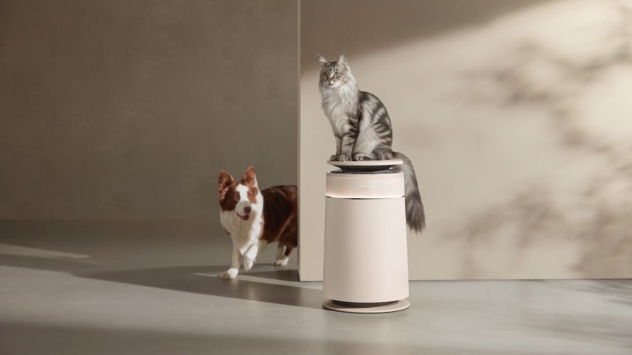 Dreame Spring Deals for 2026 - Furcatch FP10 Air Purifier