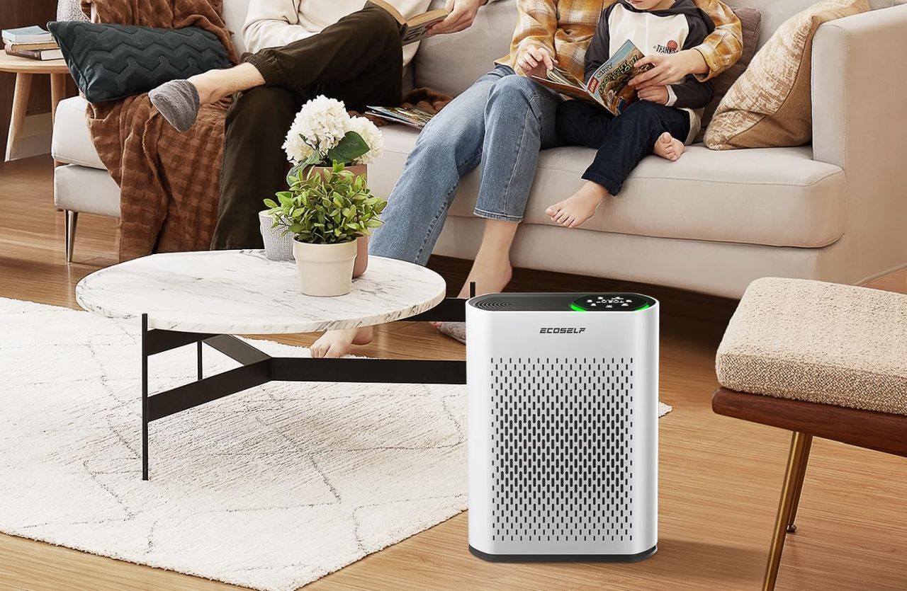 Ecoself Air Purifier for Large Room