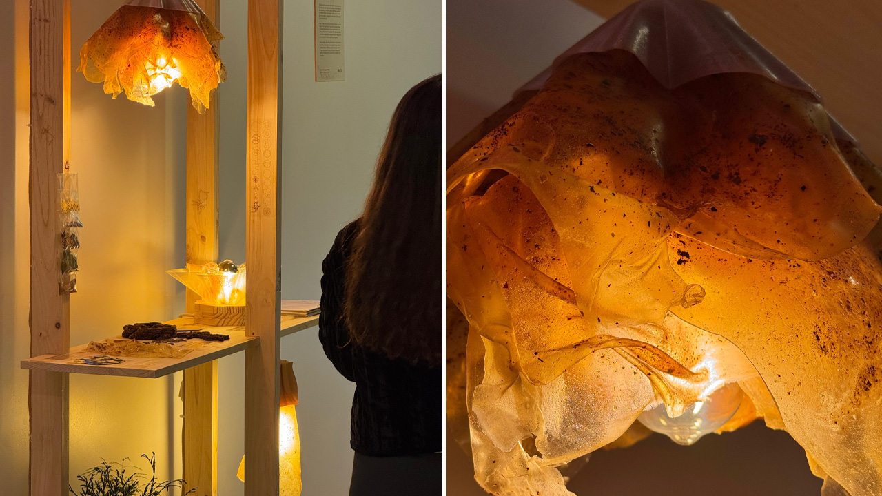 Florar-Installation_1