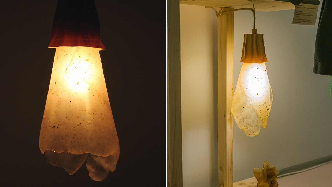 Florar Installation_3